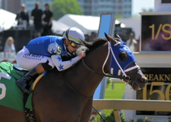 Preakness Stakes 2025 Results: Race-by-Race Recap from Pimlico