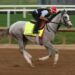 Kentucky Derby 2025: Post Time, Horses, Odds, and How to Watch – Full Guide