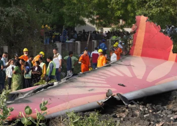 Air India Plane Crash In Ahmedabad: Survivors And Latest Updates